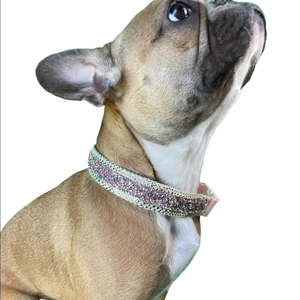 Expensively pink Gold snake print with pink and white bling 19”